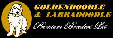 golden-labradoodle organization